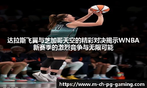 pg模拟器