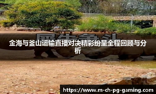 金海与釜山运输直播对决精彩纷呈全程回顾与分析